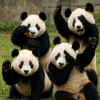 Thumbnail of related posts 012