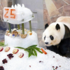Thumbnail of related posts 122