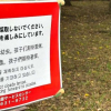 Thumbnail of related posts 062